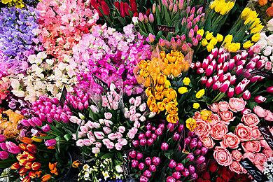 《塔罗斯的法则：重启》今日震撼发售！克罗地亚团队经典哲学解谜游戏焕新归来